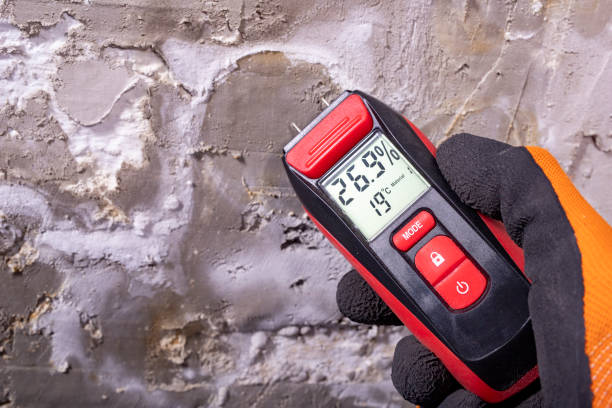 Best Attic Mold Removal  in The Pinery, CO